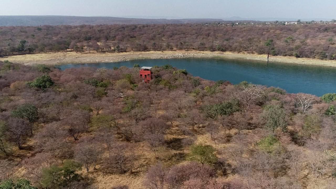 Prem Kanwar Shaktawat with crocodile